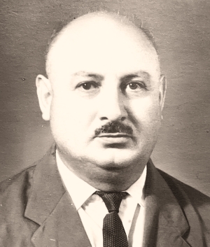 Гвинджилия Владимир Несторович